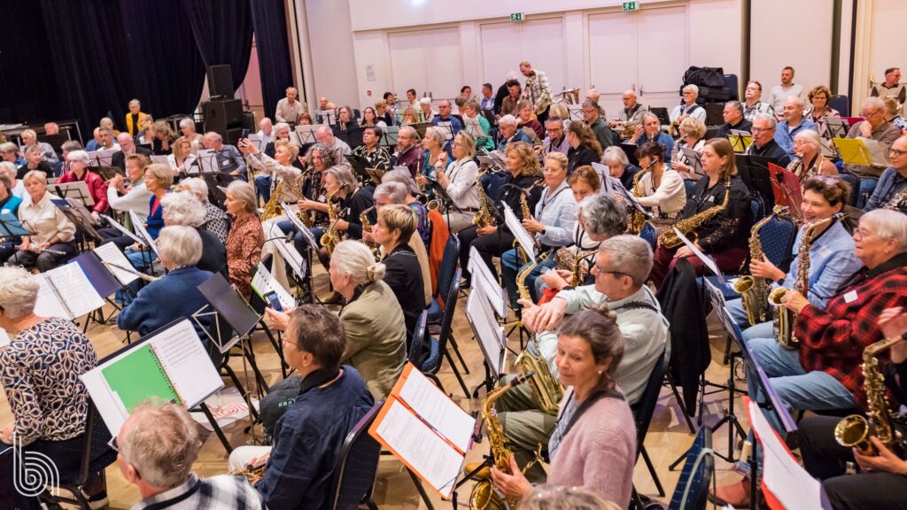De eerste editie Brabant Speelt Samen was voor Laatbloeiers! Lees hier alles over deze dag, en bekijk de foto's.